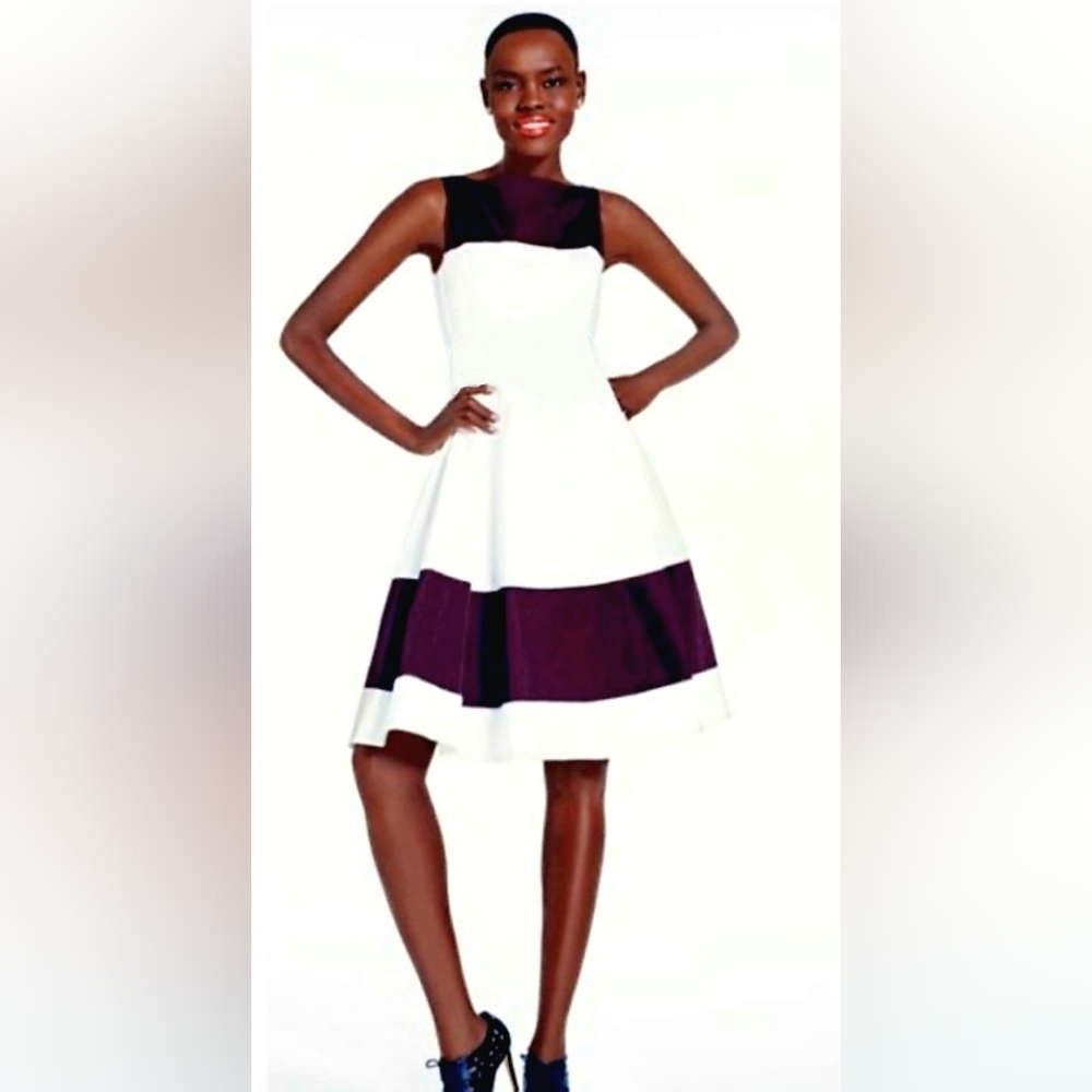 NWT Rio de Janairo dress